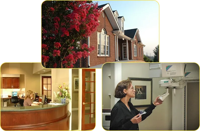 Inside Mill Mountain Dentistry, a dental office in Roanoke, VA: the reception, a treatment room, and Dr. Dutt at work