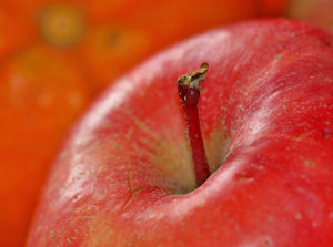 How to Get Your Kids to Eat Healthier | Family Dentist Roanoke